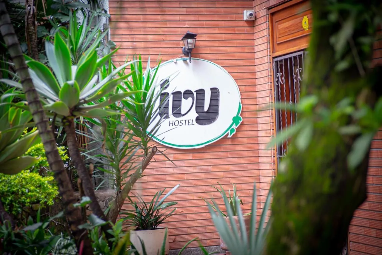 Ivy Hostel Medellin