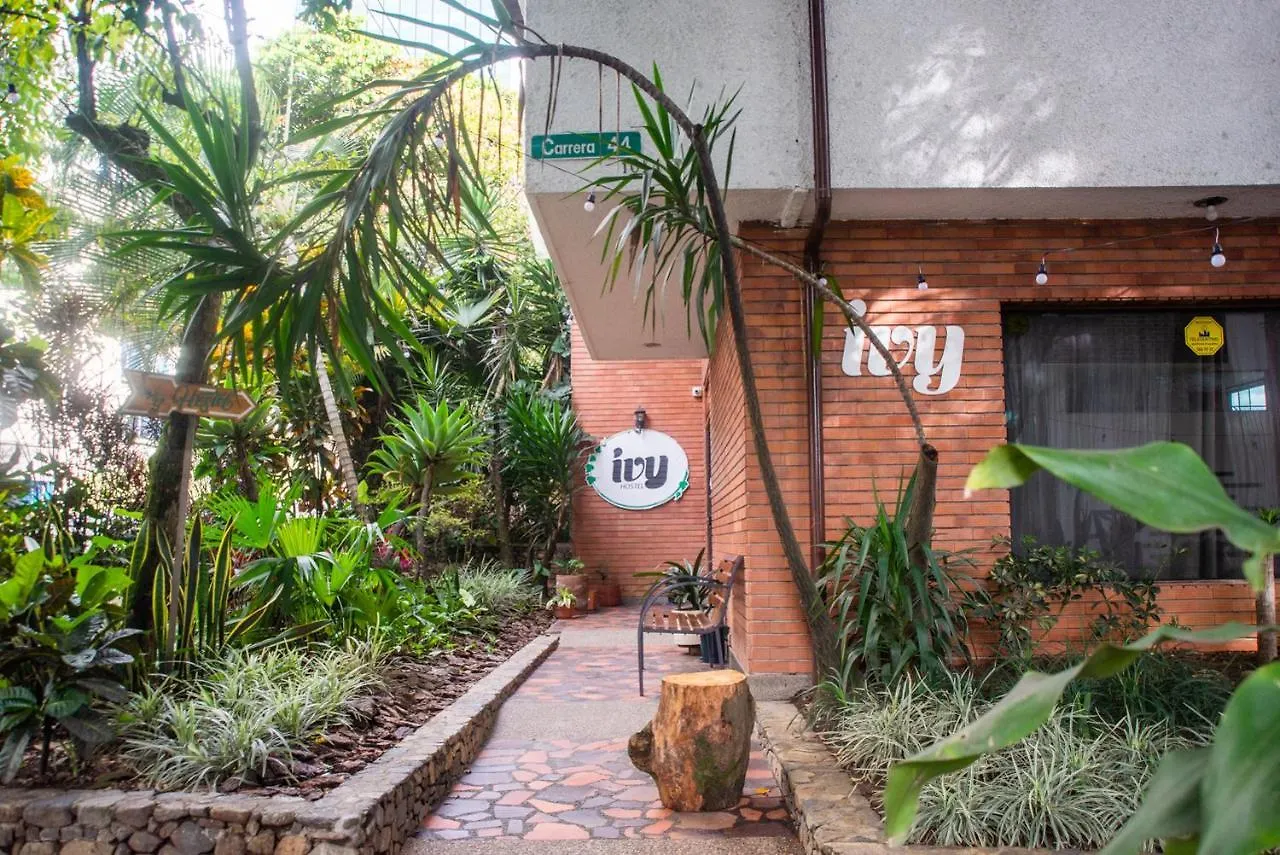 Ivy Hostel Medellín