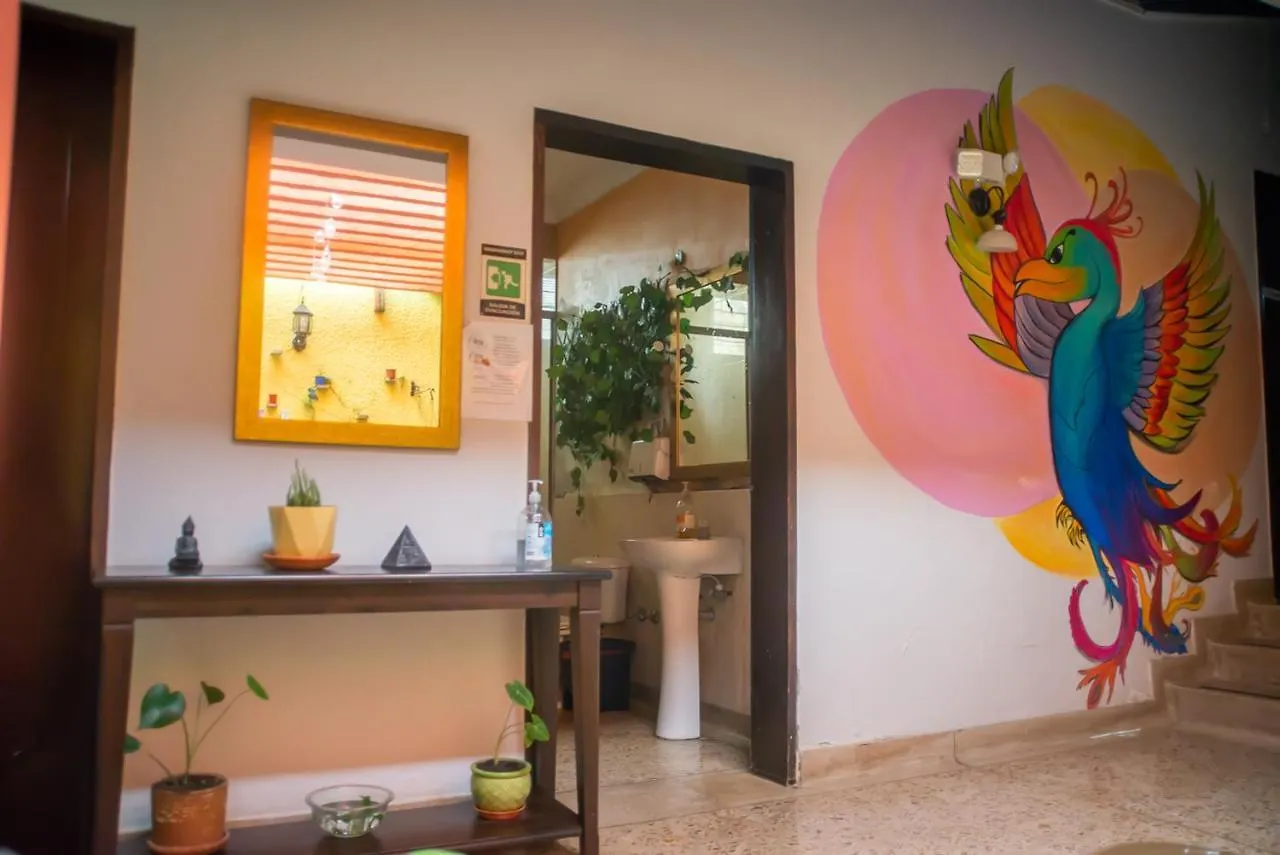 Ivy Hostel Medellín