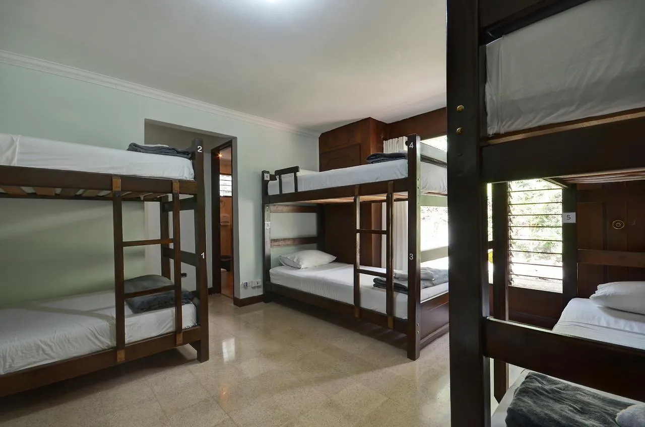 Ivy Hostel Medellín